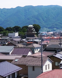 高島城を望む