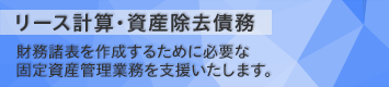 リース計算・資産除去債務 （「減価償却の達人」カスタマイズオプション）