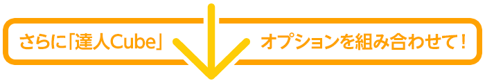 さらに「達人Cube」オプションを組み合わせて！