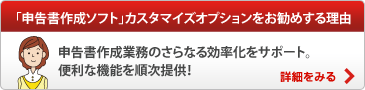 「申告書作成ソフト」カスタマイズオプションをお勧めする理由