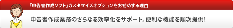 「申告書作成ソフト」カスタマイズオプションをお勧めする理由