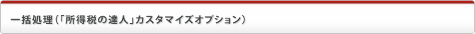 一括処理（「所得税の達人」カスタマイズオプション）