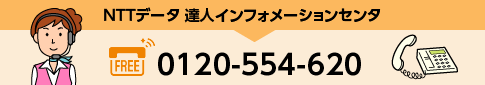 NTTデータ 達人インフォメーションセンタ 電話:0120-554-620